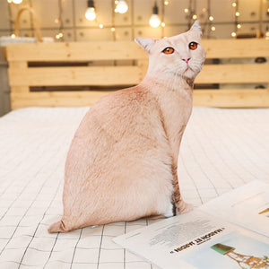 Lifelike Simulation Cat Plush Stuffed Sleeping Cushion Pillow